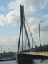 Cable Bridge
